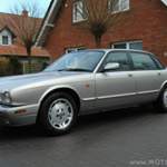 Rusty auf den "Dimple" Winteralus