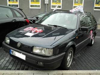 Nasenbäer-Hochzeitsauto