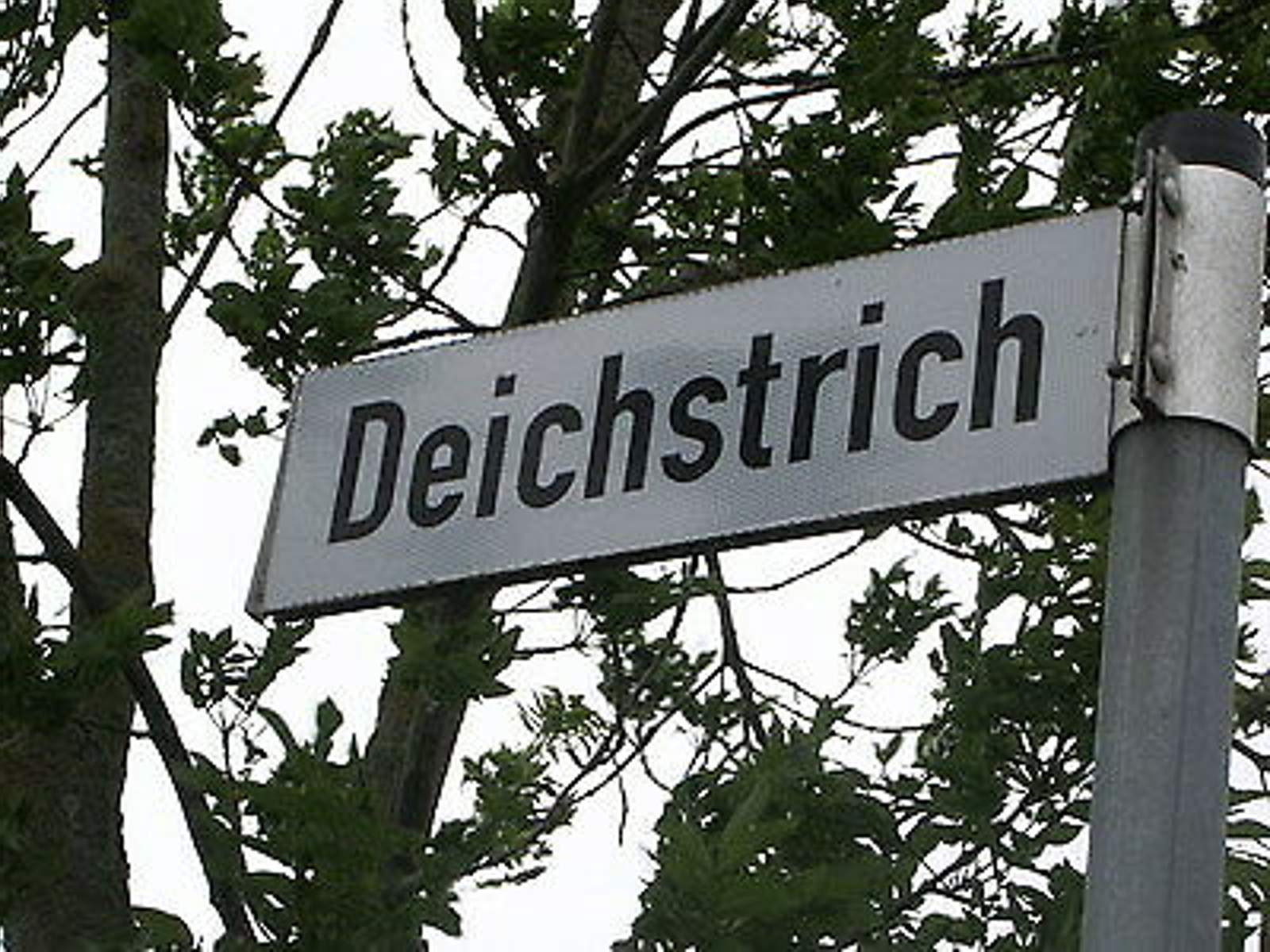 154868766-8365f18078-o