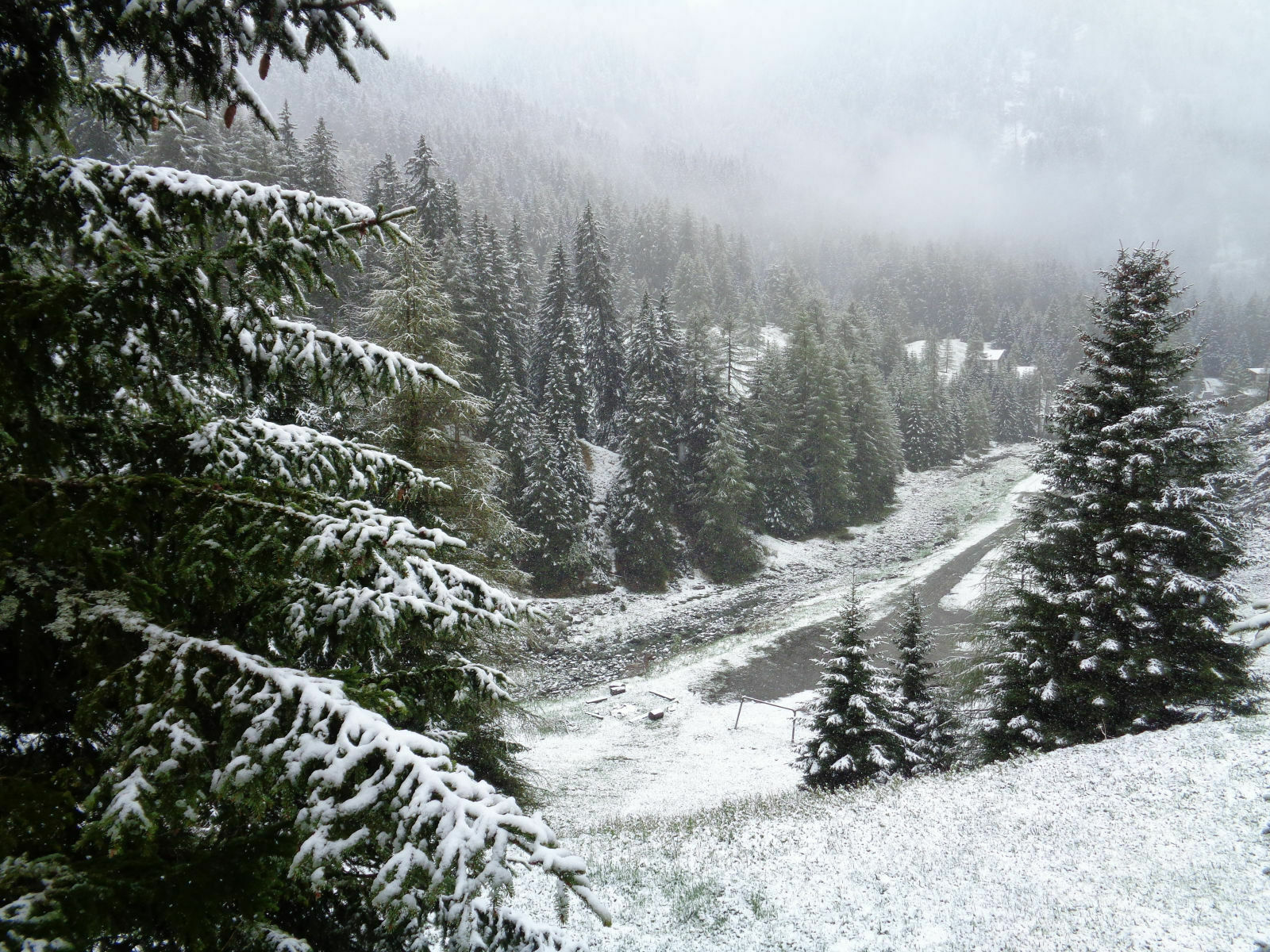 Der Schrottplatz - Spiegelsymmetrisch des Showrooms