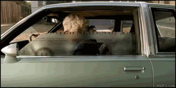 Lustige-animierte-auto-gifs-zum-lachen