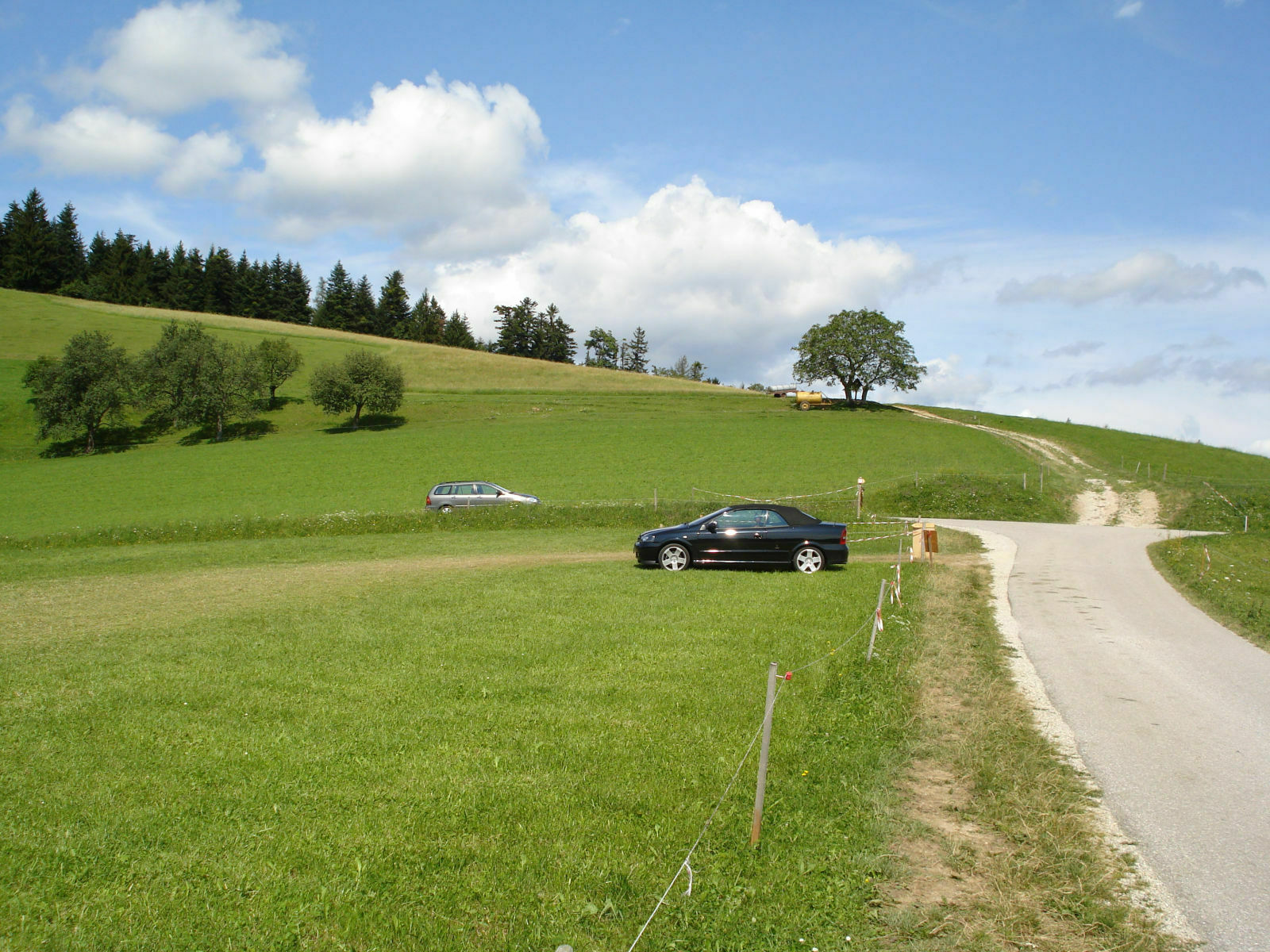 2008 im Grünen mit dem besten und schönsten Cabrio ever