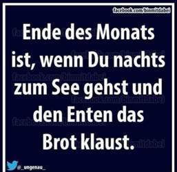 Den-enten-nachts-das-brot-klauen