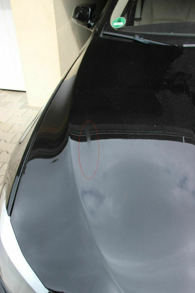 Lackbeschädigung durch Katze oder Marder