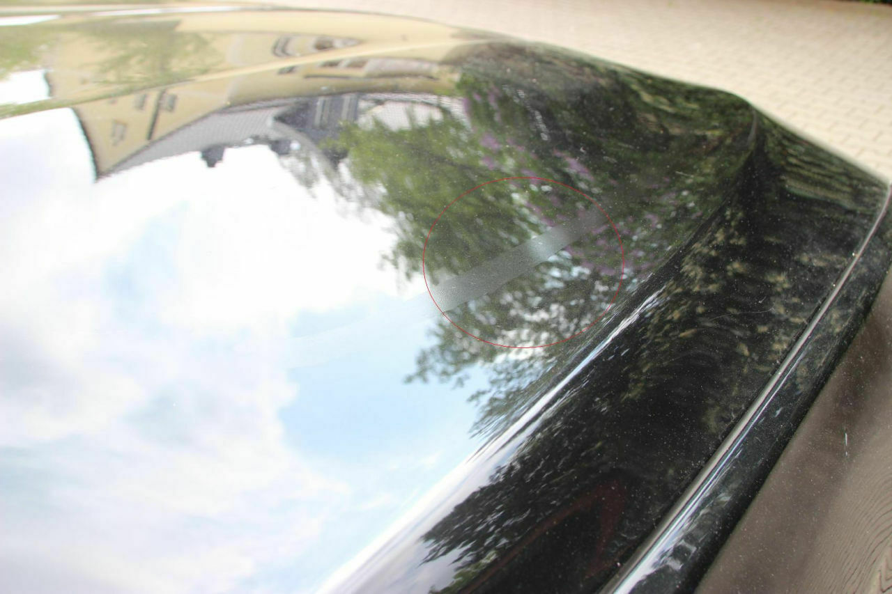 Lackbeschädigung durch Katze oder Marder