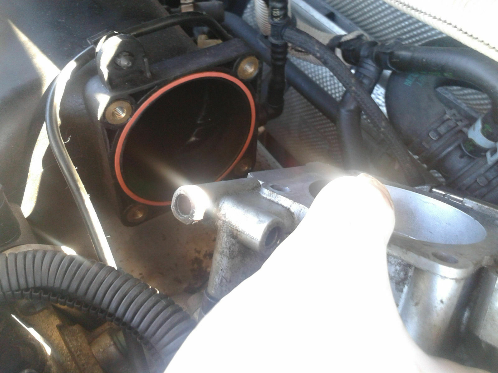 Was habt Ihr heute alles gutes für Euren Golf 4 getan?