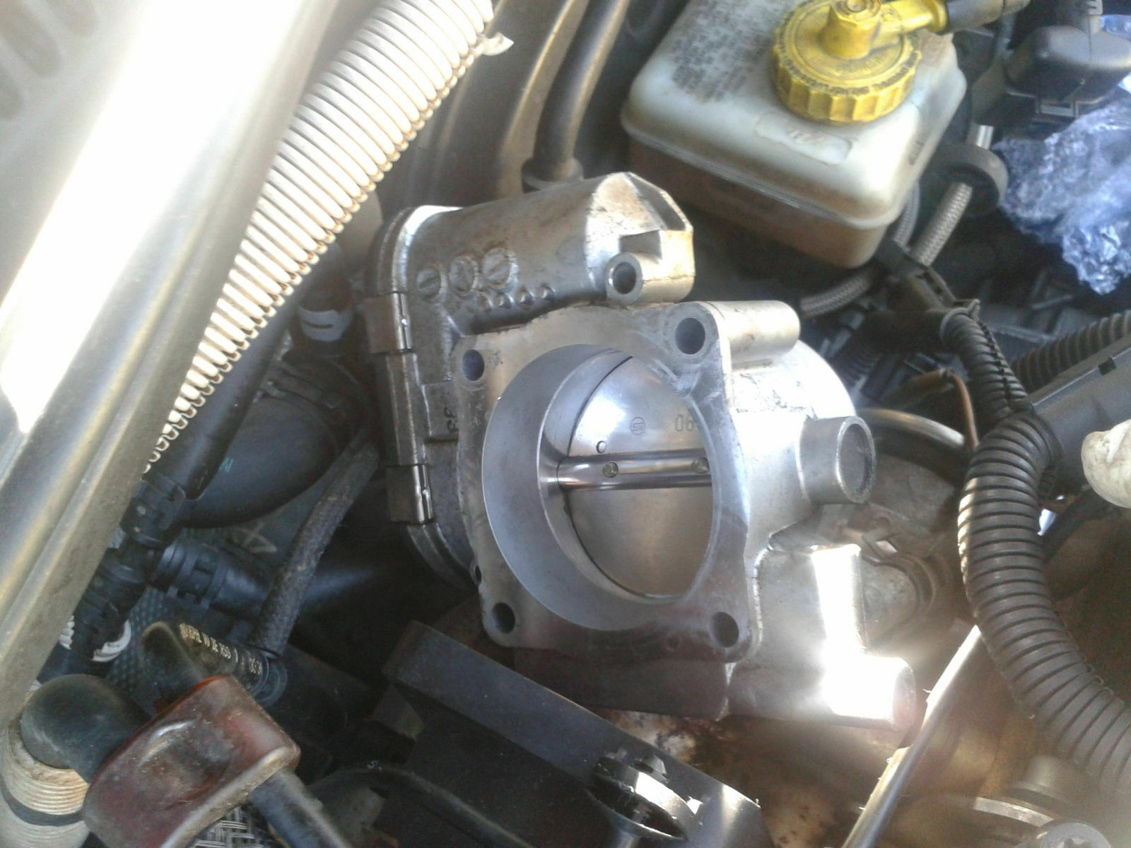 Was habt Ihr heute alles gutes für Euren Golf 4 getan?