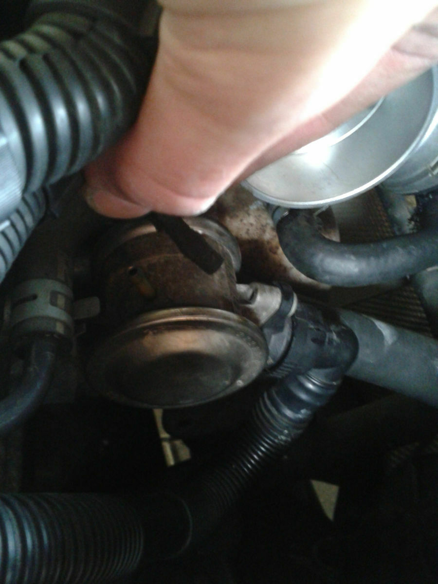 Was habt Ihr heute alles gutes für Euren Golf 4 getan?