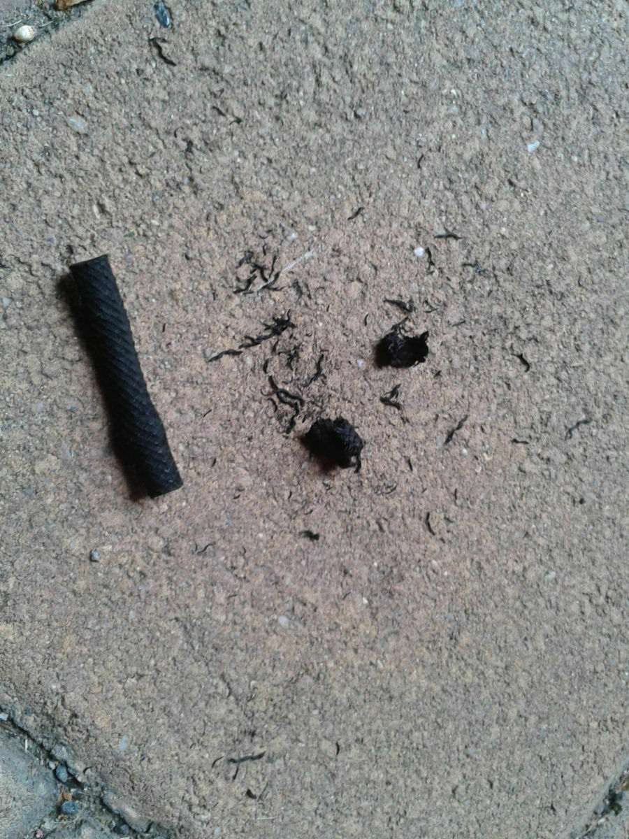 Was habt Ihr heute alles gutes für Euren Golf 4 getan?