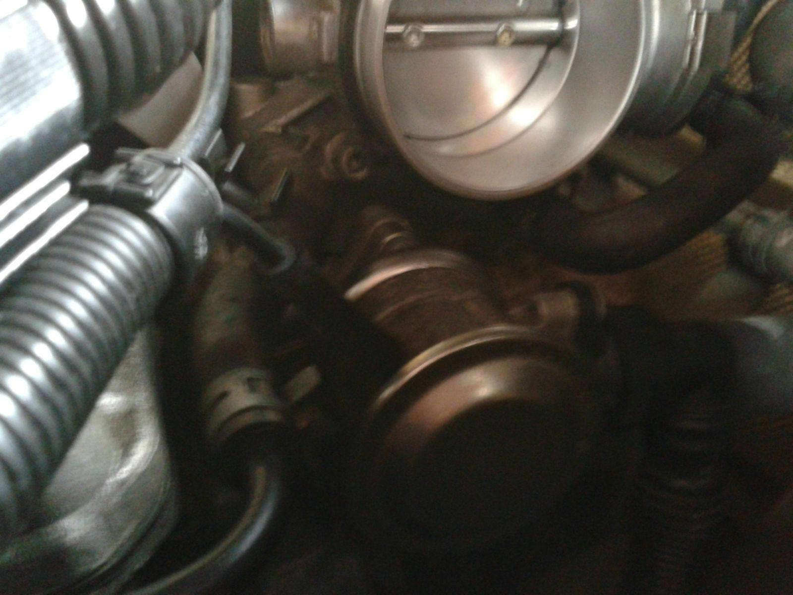 Was habt Ihr heute alles gutes für Euren Golf 4 getan?