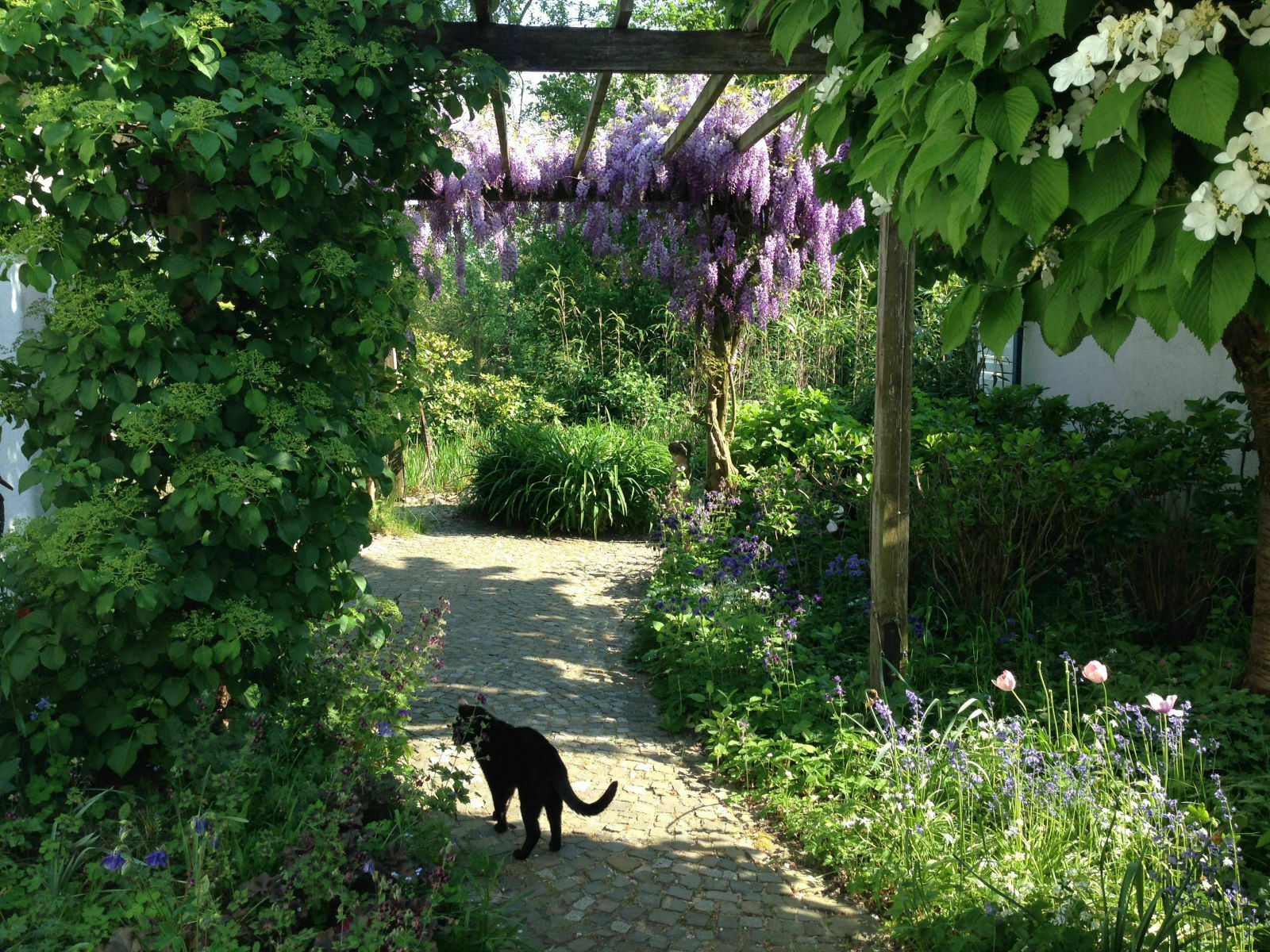 Der ultimative Off-Topic-Blog