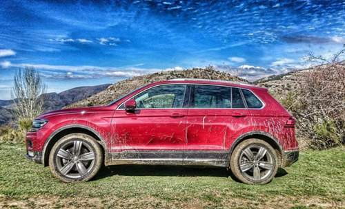 12960174-636311189857418-202087127-n