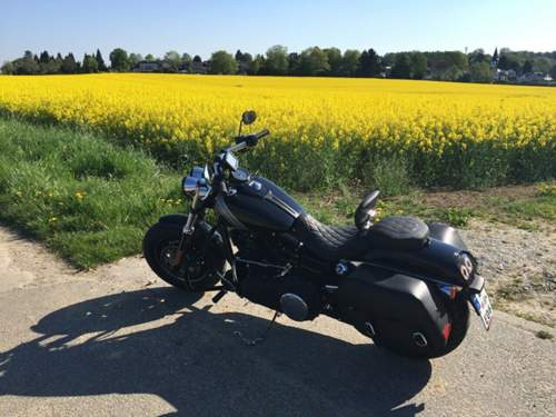 Img-mt-480766774005663288-image