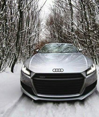 11666272-486300224875164-3830897284899068837-n