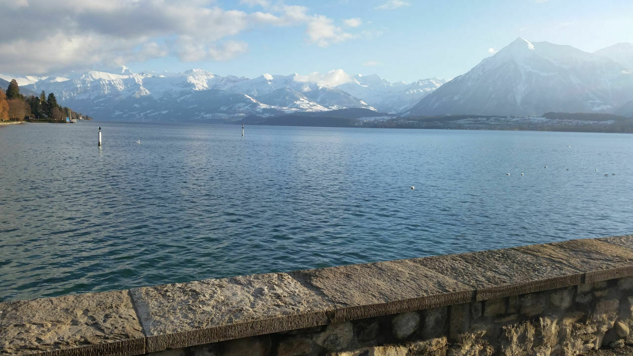 14482884629721708731806