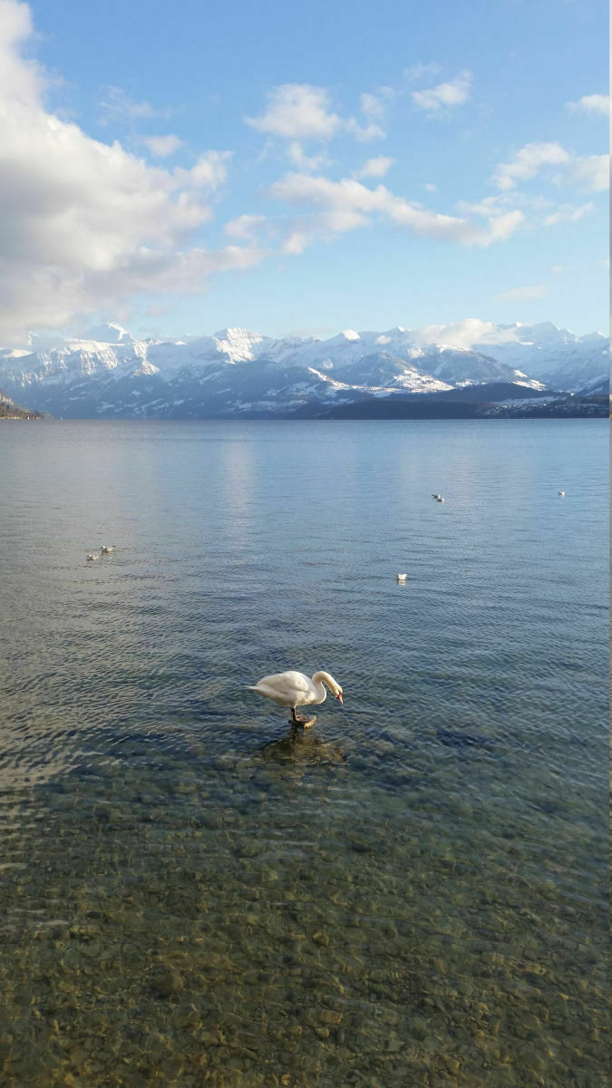 14482893163061708731806