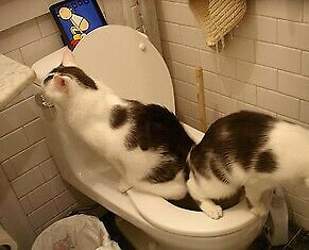 Alina-1127744456-medium