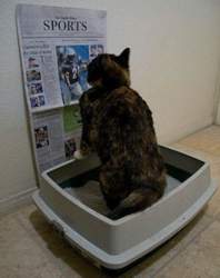 Bildschirmfoto-2013-10-29-um-09-38-02