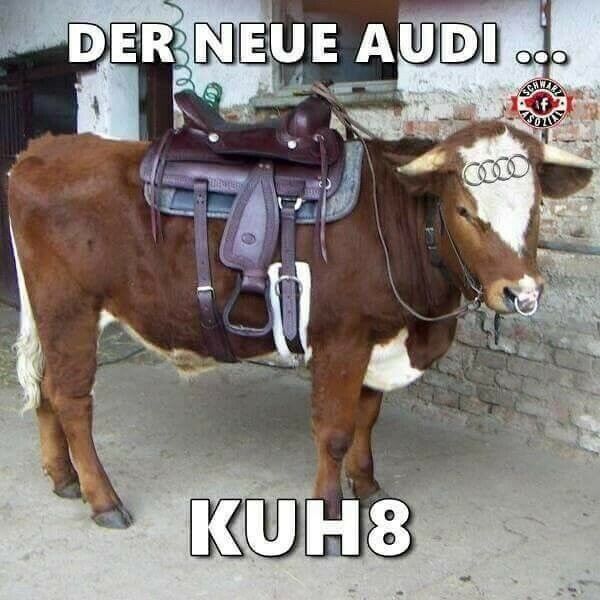 PVM - Neues Steuergerät bei allen Diesel mit Ad-Blue