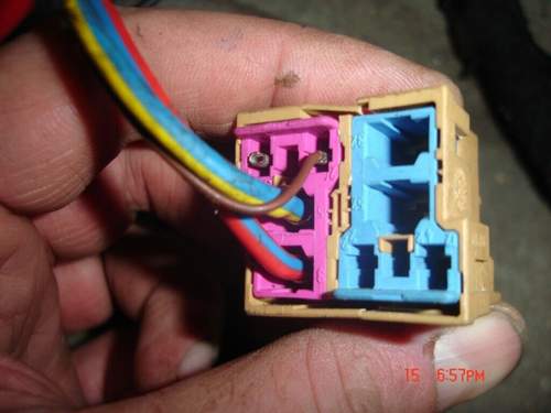 Brauner-sockel-hinten