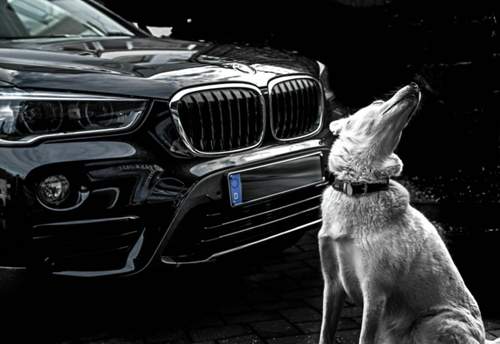 Img-8488-bearbeitet-bearbeitet