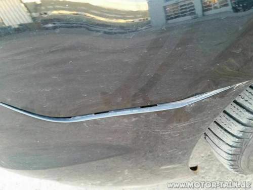 1477950-10208355691029314-172644954353831274-n