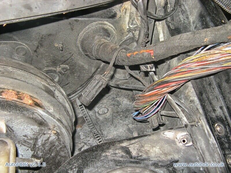 Omega B - Diverse Probleme mit meinem Neuerwerb