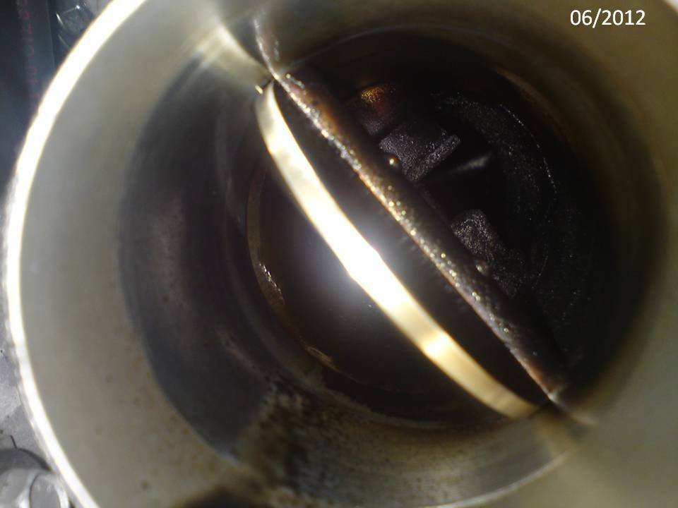 Als hätte ich Kangurusprit getankt?