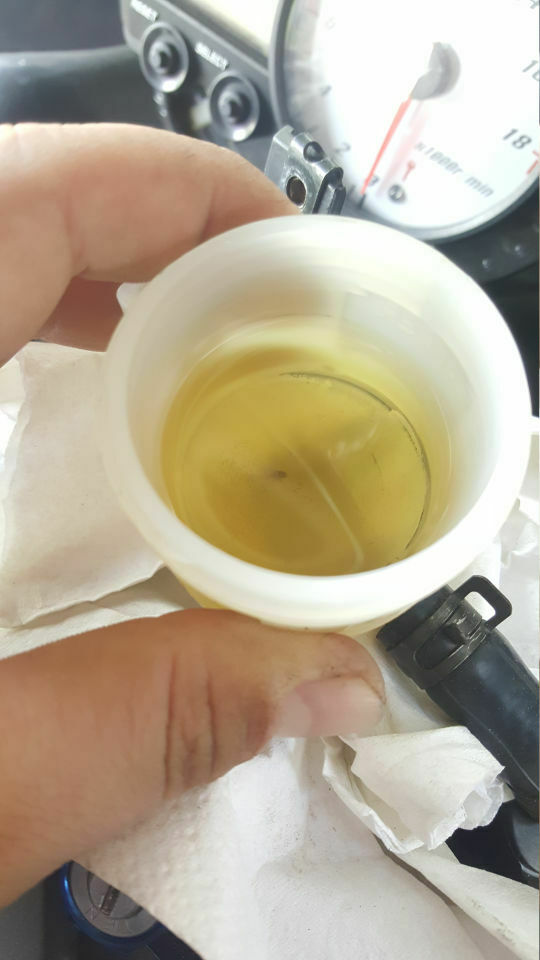 OT bei den Mädels am Feuer - Gentlemen welcome!