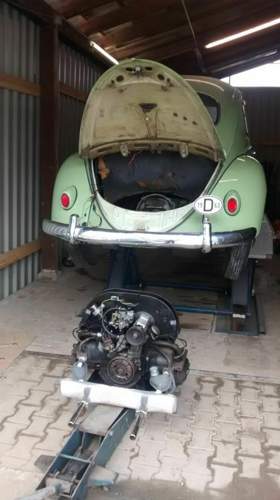 Img-20150819-110417395