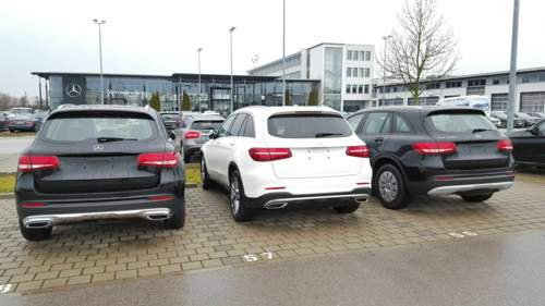 12510885-941916995899351-766406617-o