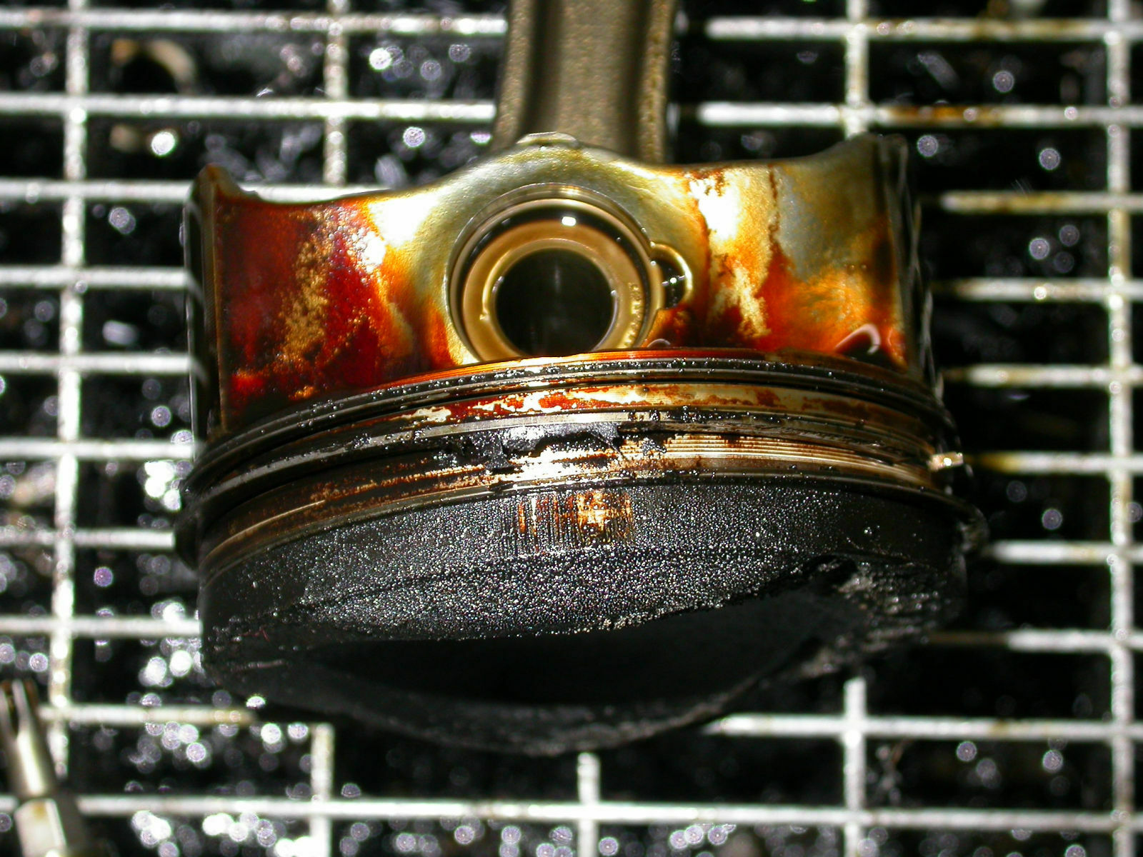 Der "das hab ich heut geschafft" Thread