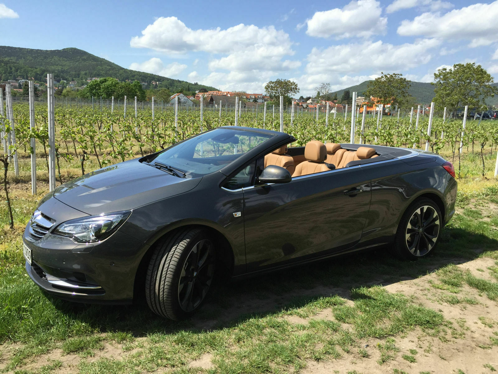 Abschied vom Erdbeerkörbchen