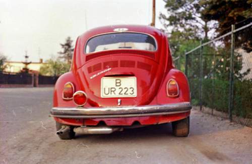 Neuaufbau-des-gruenen