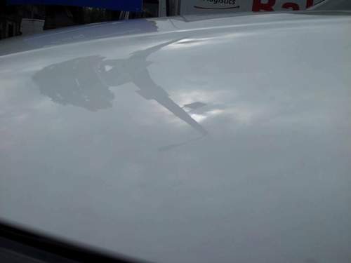 1002390-502591626487897-1476518965-n