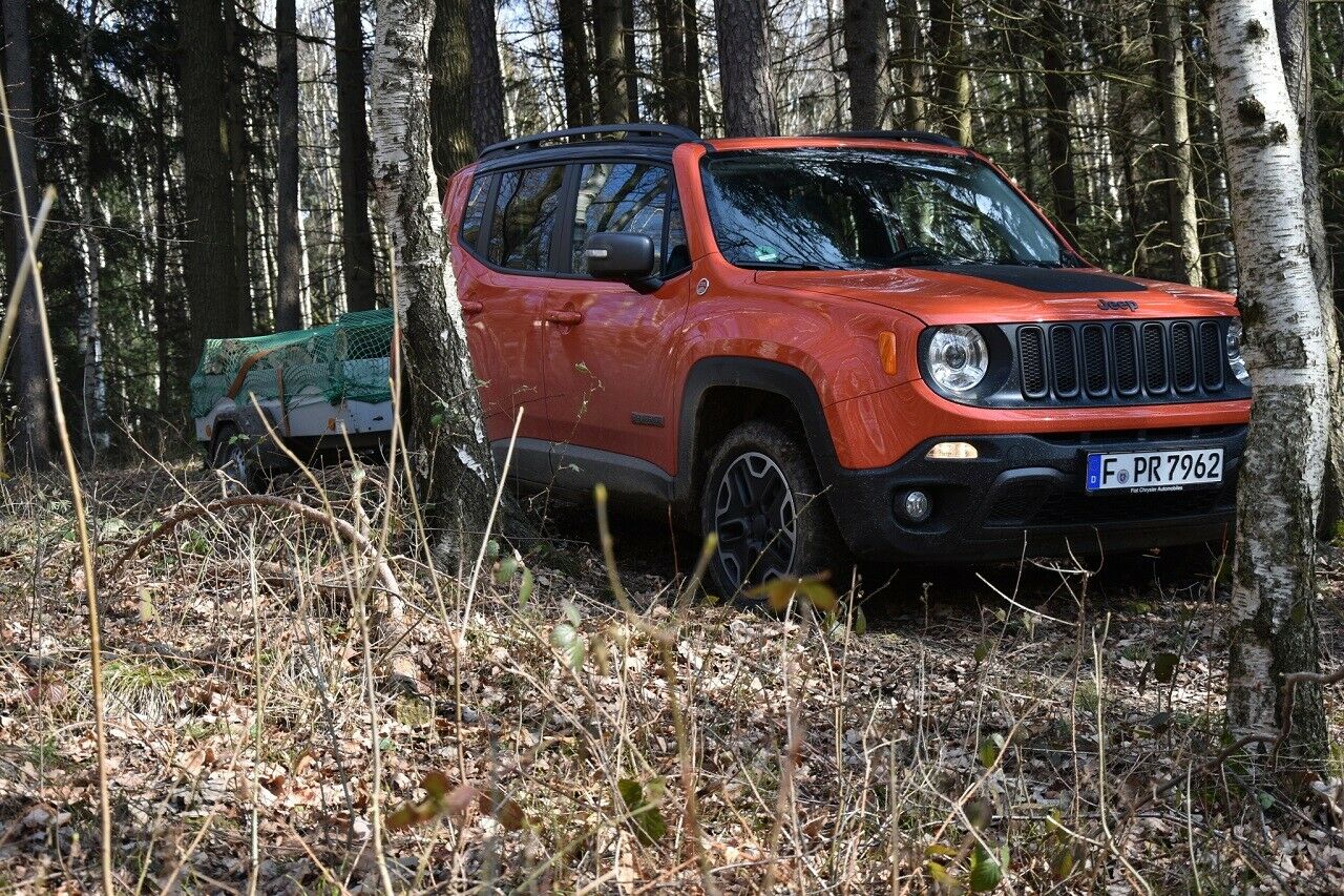 Franks Jeep Renegade Trailhawk 2,0-Multijet-Diesel mit 170 PS beim Holzholen im Wald