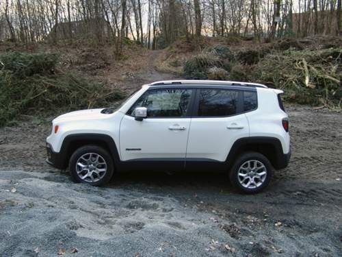 Der kleine schwarze Knopf auf dem T&uuml;rgriff verriegelt das Auto