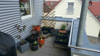 20160411-183955-resized