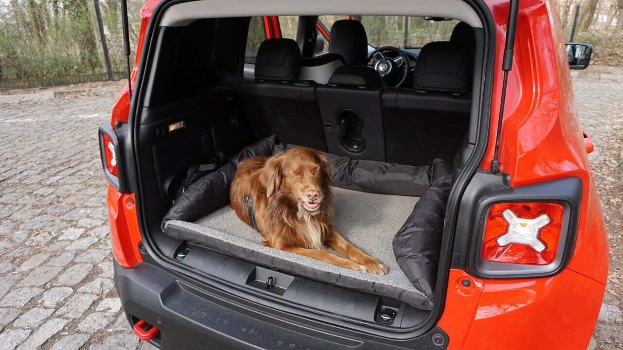 Die Fellnase im Hundebett ...