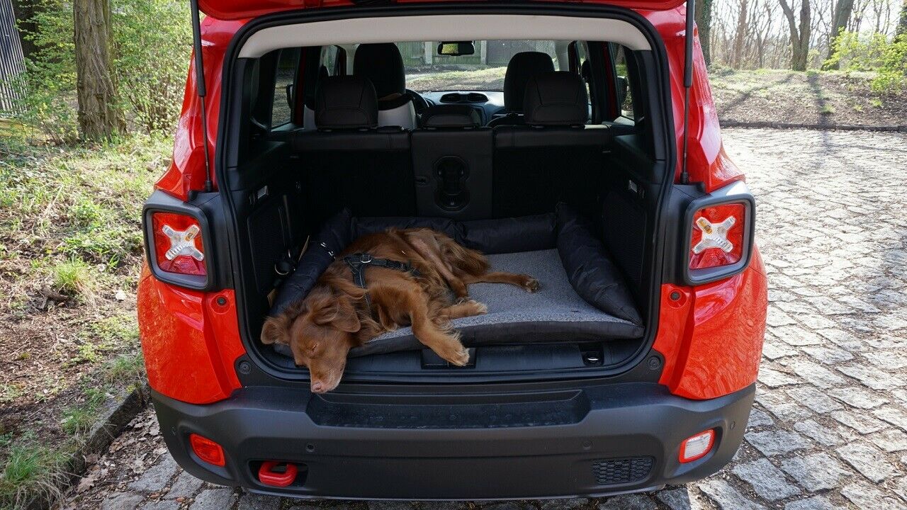 ... scheint gem&uuml;tlich zu sein