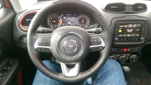 Blick auf das Lenkrad und die anzeigen f&uuml;r den Fahrer