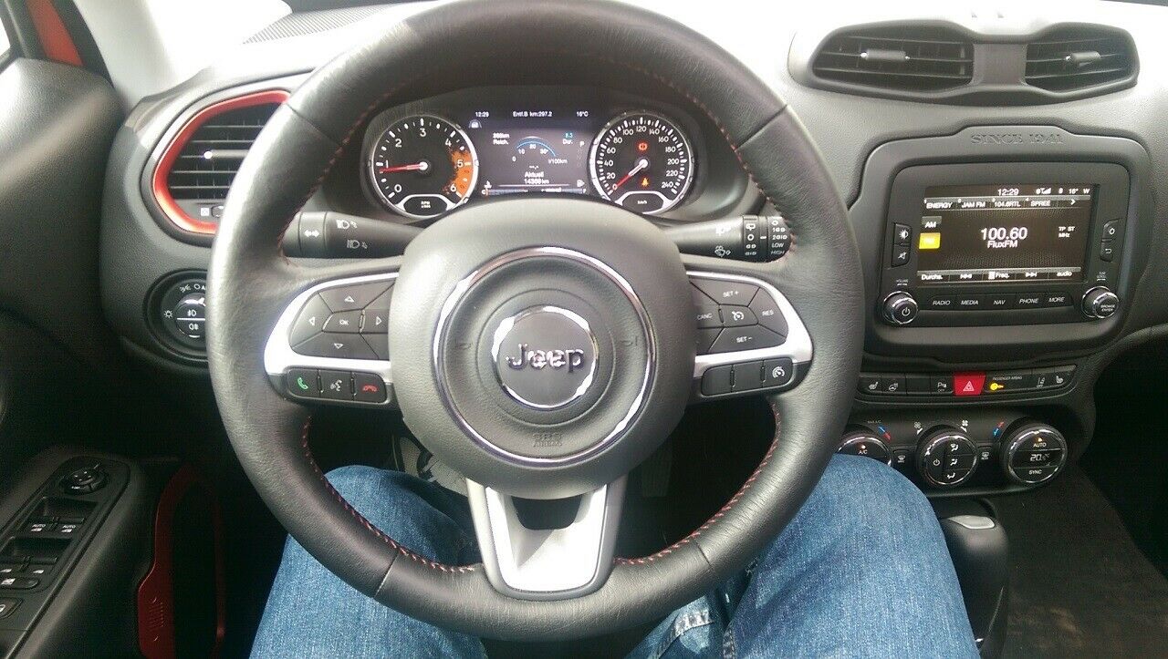 Blick auf das Lenkrad und die anzeigen f&uuml;r den Fahrer