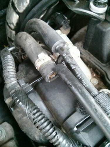 Img-20161122-093242-rs