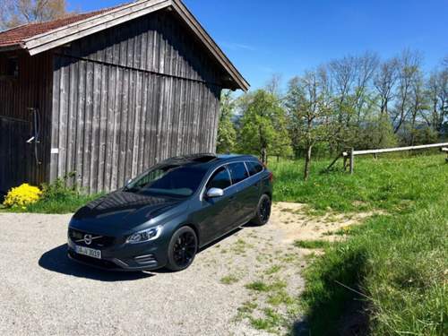 Img-mt-5656418591164094555-image