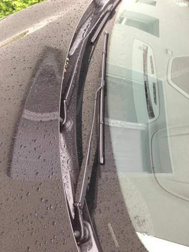 Img-mt-5919132546614231827-image