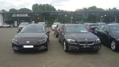 Aviary-image-1464897232647