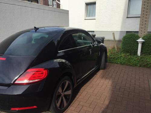 Img-mt-4431655142728989104-image