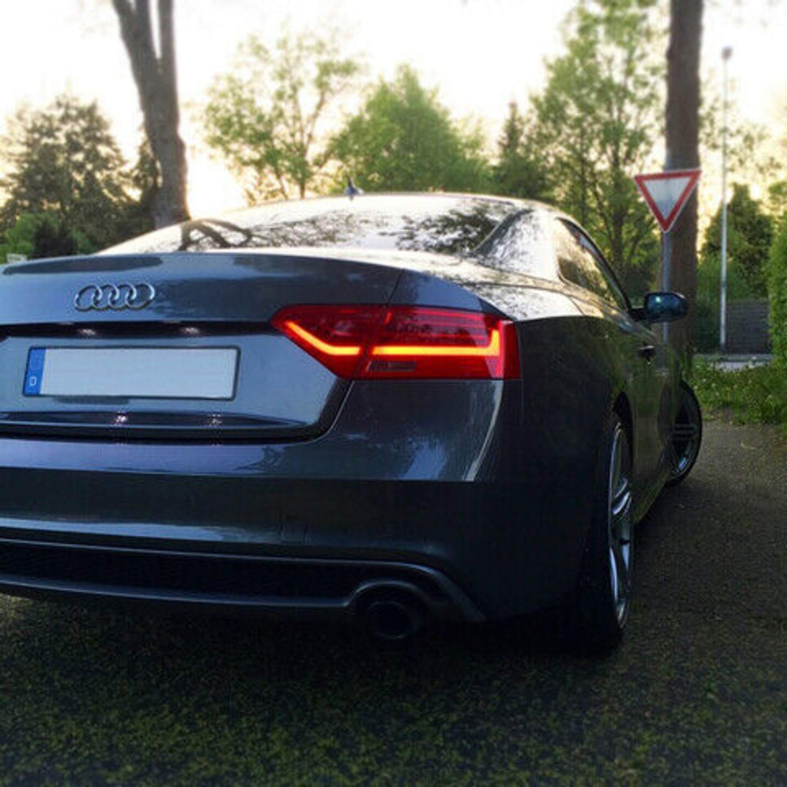 Robin: "Auch für sie Optik ein Plus: Der 245er zieht sich schön, aber nicht übertrieben auf der 9J Alu"