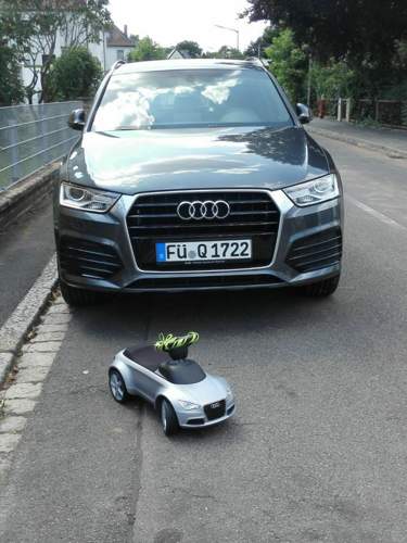 Img-mt-8126447337610297446-img-2036