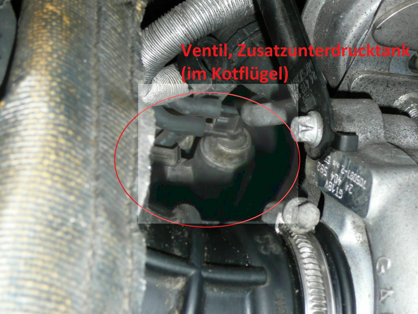 Omega B - Y22DTH - Unterdruckschläuche richtig anschliessen